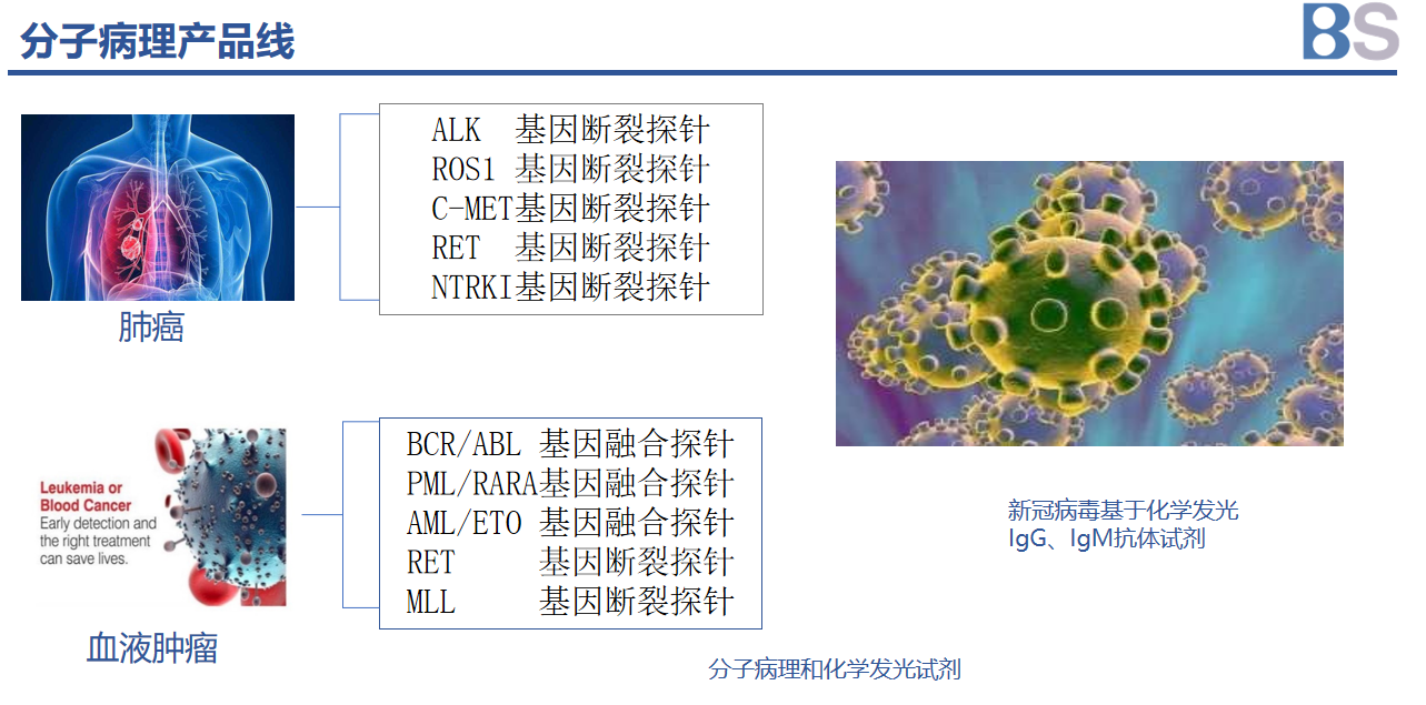 uploads/image/20220613/1655111156.png